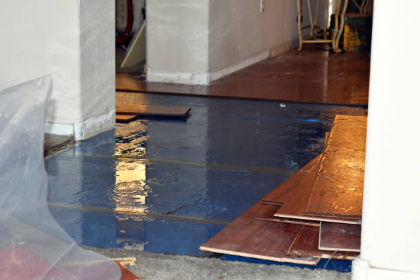 Professional Flood Cleanup technician working in New Virginia, IA